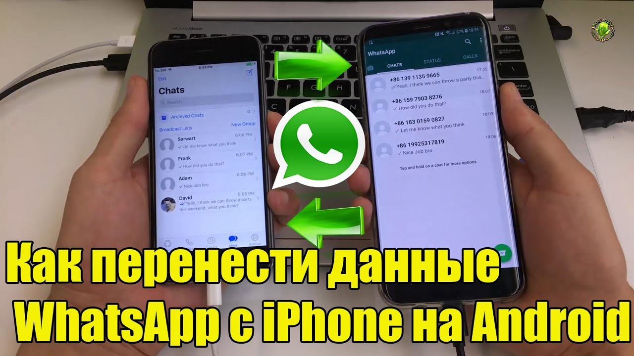 Перенос whatsapp с iphone на android. Перенос WHATSAPP С Android на iphone. Перенос вацап с андроид на айфон. Перенос данных WHATSAPP. Перенести WHATSAPP С Android на iphone.