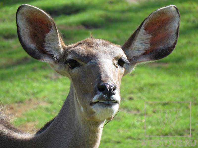 Как уменьшить размер файлов JPG?