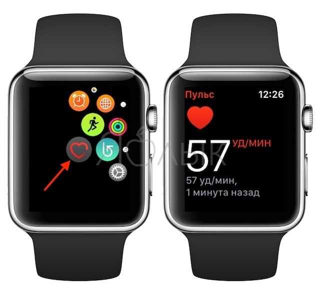 Как Apple Watch измеряет пульс?