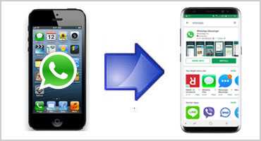 Как перенести WhatsApp со смартфона Apple iPhone на Android