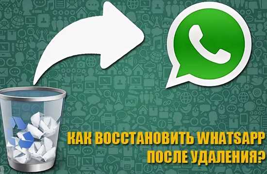 Как восстановить WhatsApp на iPhone после удаления