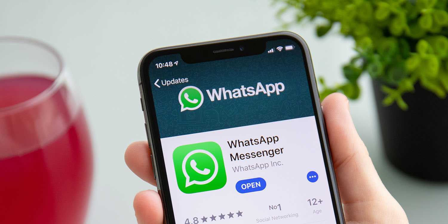Почему не обновляется приложение WhatsApp: частые причины
