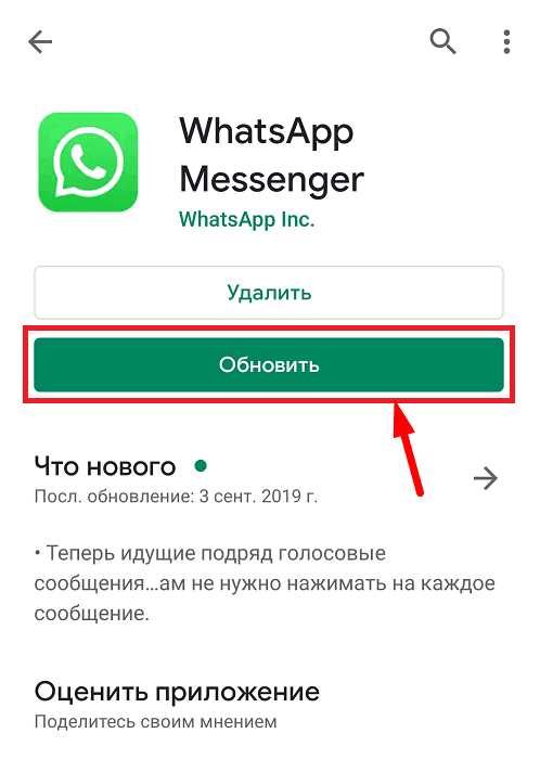 В WhatsApp Business нет звука уведомлений – в чем причина, как исправить?